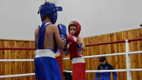 Благодійний боксерський турнір відбувся в Ічні на Чернігівщині