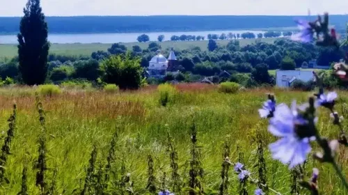 Історія Свято-Миколаївської церкви в Радичеві та до чого тут німецькі протестанти