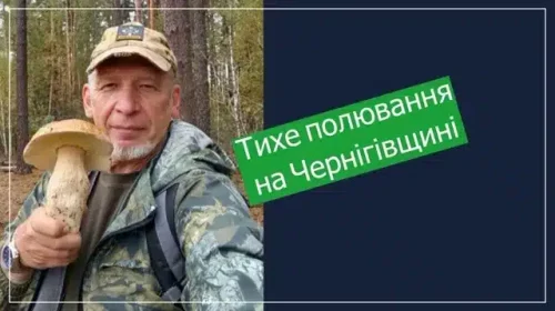 Гриби на Чернігівщині є, але не всюди