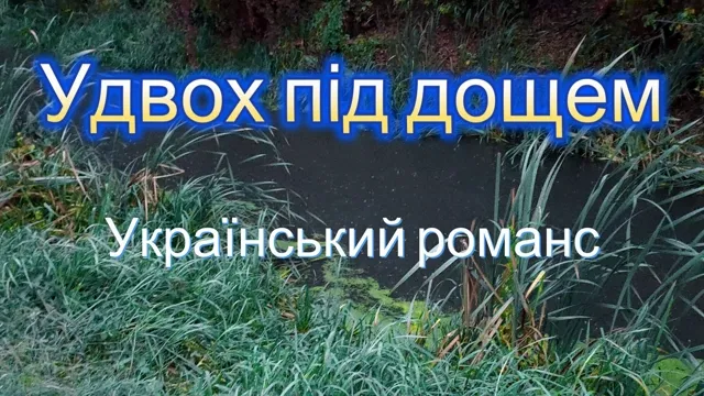 Творчий дует з Чернігівщини перевершує сподівання. Відео